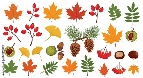 Comprehensive set of autumn botanical elements featuring various colorful leaves, berries, pine cones, chestnuts, and acorns.