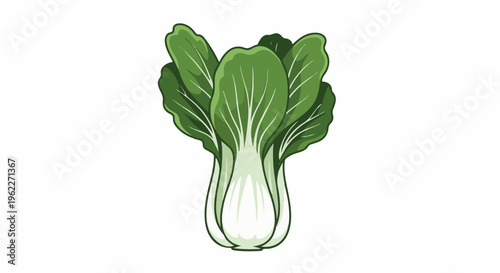 A vibrant green bok choy with white stems on a white background