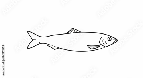 Black and white line drawing of a single fish with fins and a forked tail