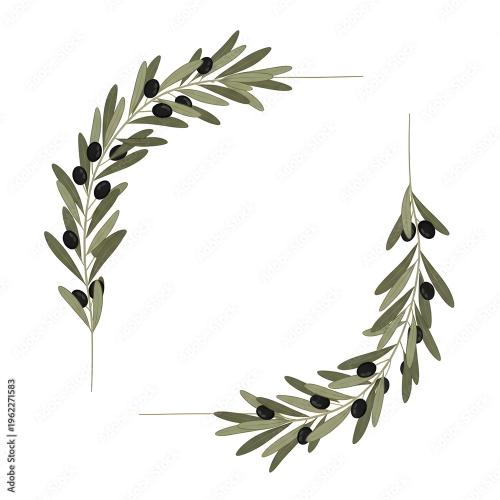 Obraz premium Minimalist botanical design featuring two graceful olive branches adorned with luscious black olives, arranged as a sophisticated frame element, ideal for invitations and labels