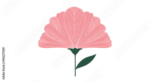 Elegant pink flower illustration with a fan shaped bloom and a single dark green leaf on a clean white background.