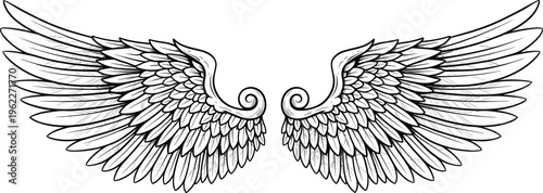 Vintage Hand Drawn Angel Wings Illustration Isolated on White Background Detailed Feather Line Art for Tattoo Design Logo Heraldry and Spiritual Concept Vector