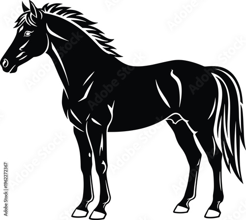 Majestic horse silhouette black and white vector illustration of standing stallion isolated on white background for equestrian sport logo and creative animal branding