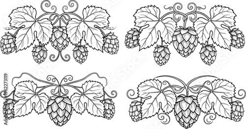 Vintage hop plant ornaments with leaves and cones, detailed black botanical engraving elements isolated for brewery design, beer themes, decorative patterns, and illustration projects