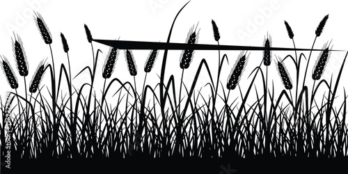 Wheat and grass silhouettes with wild meadow plants, detailed black agricultural elements isolated for farming design, rural themes, harvest concepts, and natural illustration projects
