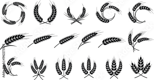 Wheat ears and grain silhouette collection with agricultural elements, barley and cereal icons, natural farm symbols set for organic food branding and harvest design