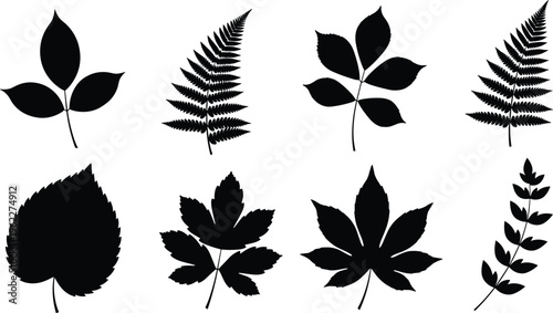 Black silhouette illustration of diverse leaf shapes including compound, fern-like, serrated, and palmate forms, symbolizing botanical diversity, plant morphology, and natural design elements