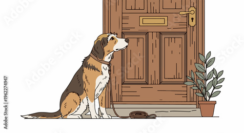 A tri-colored dog waits patiently by a wooden door with a plant