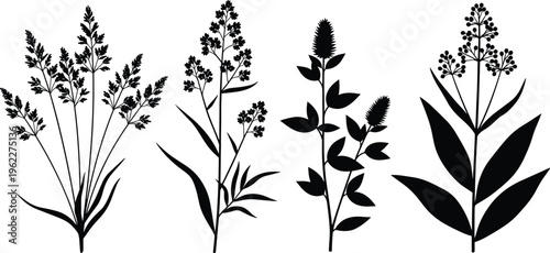 Black silhouette illustration of diverse plant species with unique leaf and flower structures, showcasing botanical diversity, floral design elements, and natural morphology for educational and creati