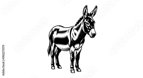 High Contrast Black and White Vector Illustration of a Donkey in Full Body Pose