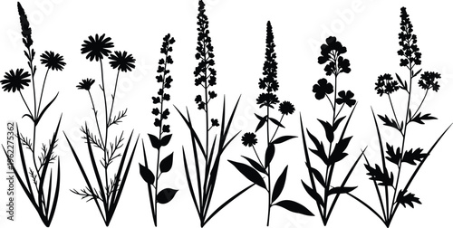  Black silhouette illustration of diverse wildflowers with unique leaf patterns, stem heights, and floral arrangements, symbolizing botanical diversity, natural design, and educational plant identific