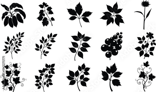 Black silhouette illustration of twelve diverse botanical elements including leaves, fruits, and flowers arranged in grid, symbolizing plant diversity, natural design, and educational themes