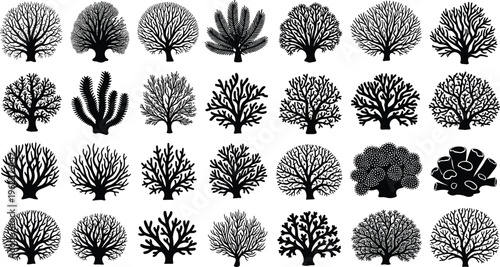 Collection of coral silhouettes with detailed marine shapes, black underwater botanical elements isolated for ocean design, reef illustration, aquatic themes, and creative projects