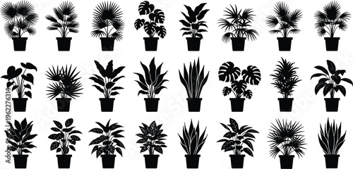 Collection of potted plant silhouettes with tropical and indoor varieties, black botanical elements isolated for home decor design, garden themes, and illustration projects