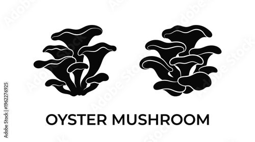 Two clusters of oyster mushrooms are depicted in a striking black silhouette