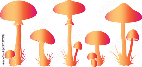 Vibrant orange and pink mushrooms