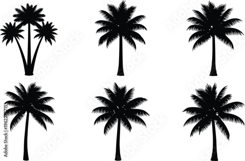  Palm tree silhouette set with detailed tropical coconut trees, beach summer elements, exotic island nature collection for logo design, travel branding, and decoration.