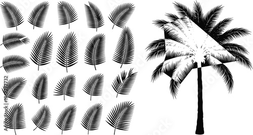 Palm leaf silhouettes set with tropical foliage and tree, detailed black botanical elements isolated for beach design, summer themes, and exotic illustration projects
