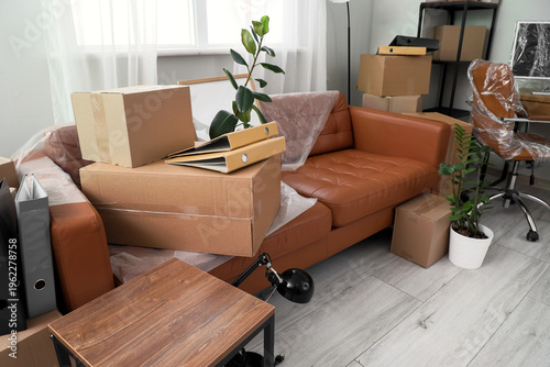 Brown sofa with plant and c...