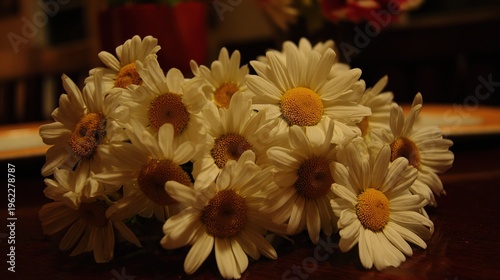 Cluster of fresh daisies with white petals and yellow centers in soft directional light.