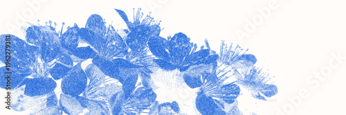 Blue cyanotype plum blossom botanical background. Stipple dot overlay texture with flower and twig silhouette. Delicate indigo blue nature banner for template and graphic design project.