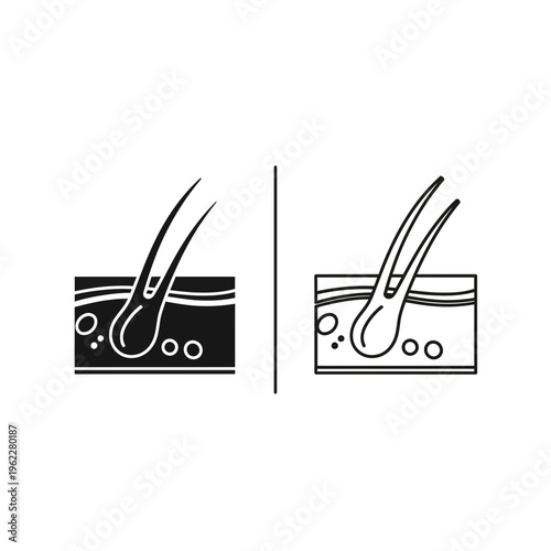 Hair follicle cross-section icon: skin and root in solid and outline with represents dermatology