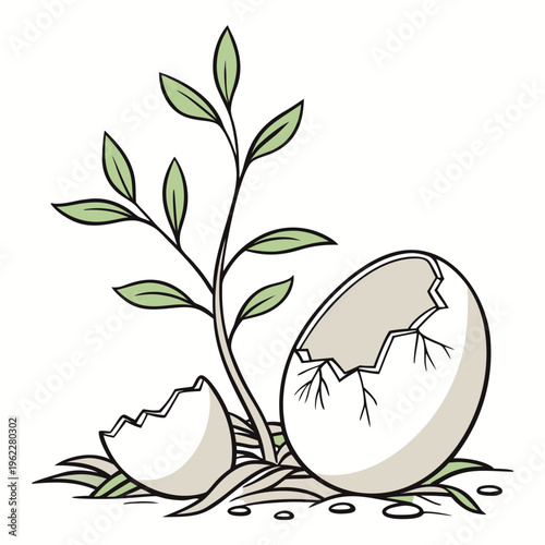 A cracked eggshell with a small plant growing out of it