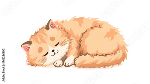 cute thick furred cat sleeping