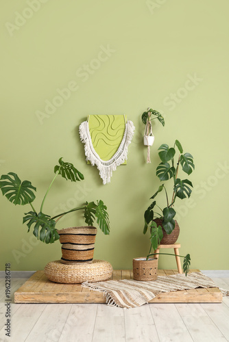 Monstera houseplants near g...