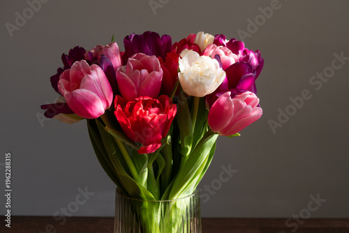 beautiful flowers tulips of different colors