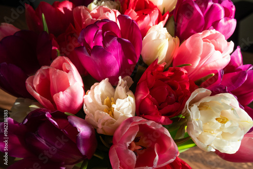 beautiful flowers tulips of different colors