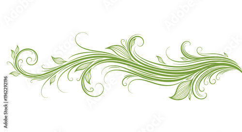 Elegant horizontal green vine scroll ornament with flourishing swirls and decorative leaves for botanical border and frame accents.