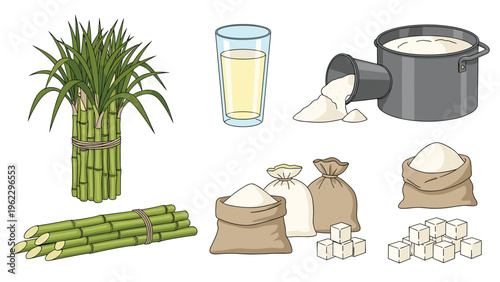 Comprehensive display of sugar production showing sugar cane stalks, granulated sugar in bags, sugar cubes, and liquid syrup.