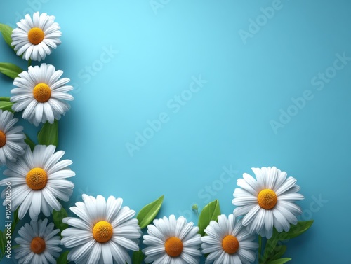 Fresh and Bright White Daisies on Blue Background Creating a Cheerful and Vibrant Floral Decoration