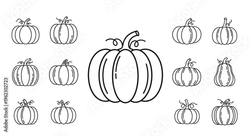 Black line drawing of pumpkins.