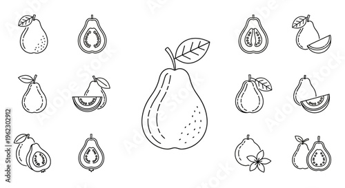Detailed illustrations of pears and slices.