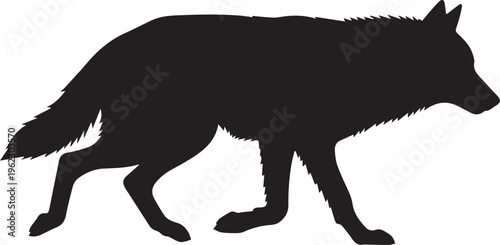 Black wolf silhouette walking isolated on transparent background
