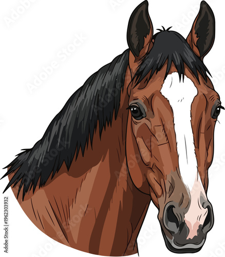 A beautiful black stallion portrait showing a majestic equine head and mane, captured as a powerful animal isolated against both dark and white backgrounds for a stunning nature-inspired farm profile