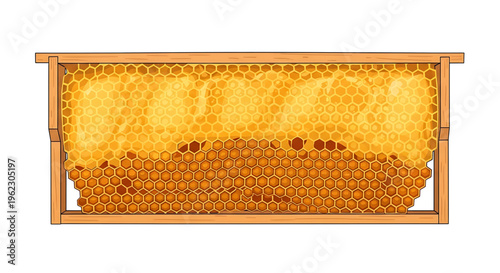 A detailed vector illustration of a honeycomb frame filled with golden honey cells