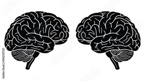Two human brains depicted with intricate detail a striking black silhouette