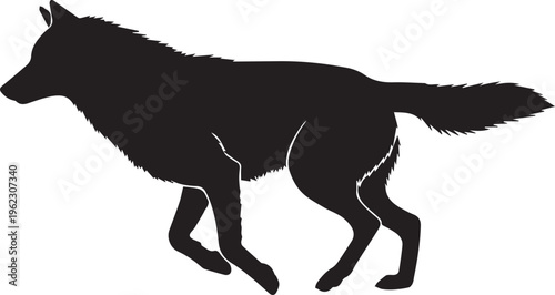 Black wolf silhouette isolated on transparent background, walking left