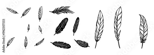 Vector black feather icons set set with simple line art design featuring simple design, minimalist, black and white with illustrations and graphics