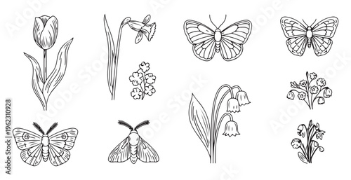 Botanical illustration bundle with forest wildflowers lily of valley and diverse butterfly species sketches