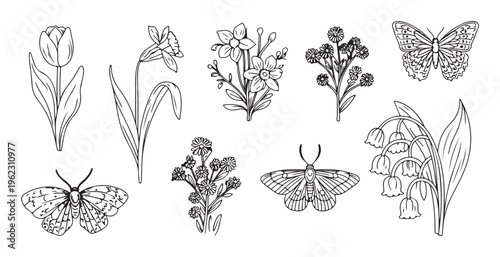 Spring garden collection with blooming tulip narcissus lily of valley flowers and delicate garden butterflies