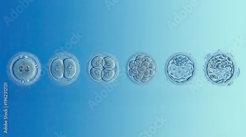 Embryo transfer procedure medical concept fertilization cell division blastocyst stage biology science hope infertility treatment life beginning blue background micrograph