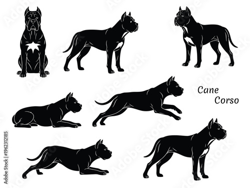 Cane Corso Dog Silhouette Vector Set, Italian Mastiff Poses Collection, Standing Running Sitting and Lying Guard Dog Icons, Minimalist Black Pet Illustrations