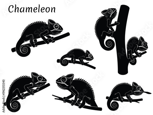 Chameleon Silhouette Vector Set, Reptile Poses Collection, Lizard Climbing on Branches and Tongue Catching Prey Icons, Minimalist Black Wildlife Illustrations for Logo and Design, Exotic Fauna Graphic