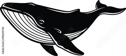 Black and white illustration of a whale