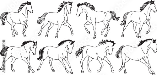 Horse Sketches Set Doodle Outline Drawings Hand Drawn Equine Animals Running Standing Jumping Foals Contour Vector Illustration