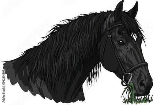 An isolated vector illustration of a majestic black stallion running gracefully against a clean white background